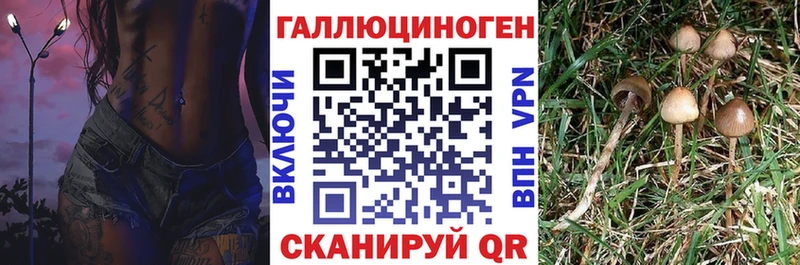 Псилоцибиновые грибы Magic Shrooms  Купить  Наволоки 